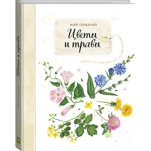Книга Мой гербарий Цветы и травы Манн, Иванов Фербер