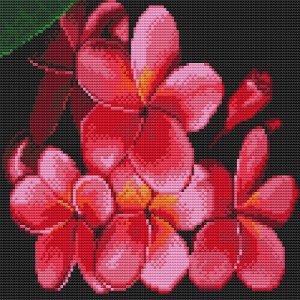 Картина мозаикой Цветок лаоса 30х30 см Molly