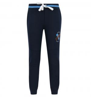 Спортивные брюки  Skate, цвет: синий Elaria