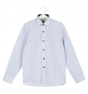 Рубашка , цвет: серый/синий Tsarevich