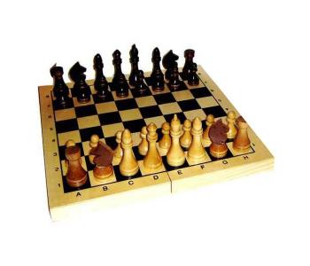 Шахматы в деревянной доске (лак) MPSport