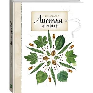 Книга Мой гербарий Листья деревьев Манн, Иванов и Фербер