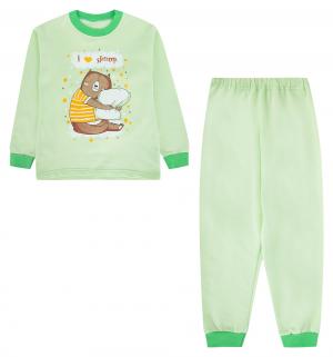 Пижама джемпер/брюки , цвет: салатовый Утенок
