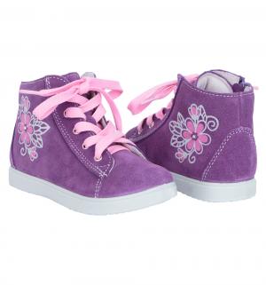 Ботинки , цвет: фиолетовый Котофей