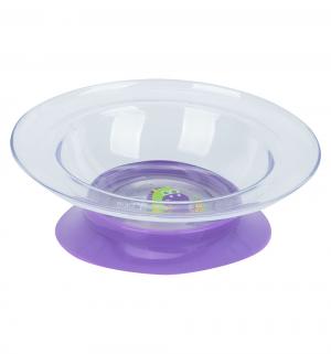 Тарелка  Любимая с присоской, цвет: фиолетовый Lubby