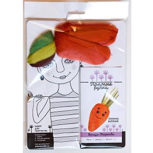 Набор для валяния Toyzy Брошь-морковка. Цвет: разноцветный