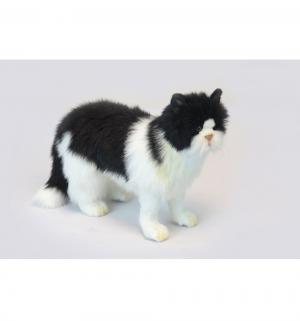 Мягкая игрушка  Кот черно-белый 46 см Hansa