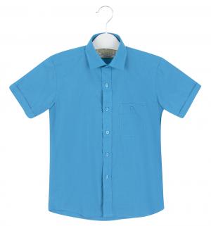 Рубашка , цвет: синий Tsarevich