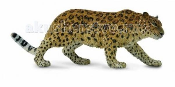 Фигурка Амурский леопард XL Collecta