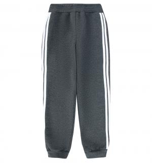 Спортивные брюки , цвет: серый Basia