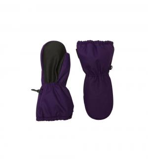 Варежки , цвет: фиолетовый Premont